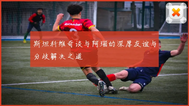 斯坦科维奇谈与阿瑙的深厚友谊与分歧解决之道